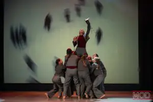 Контемп | Студия танцев MOD в Красногорске